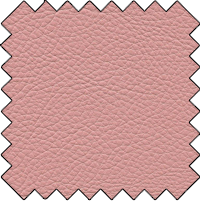 Pink Leather